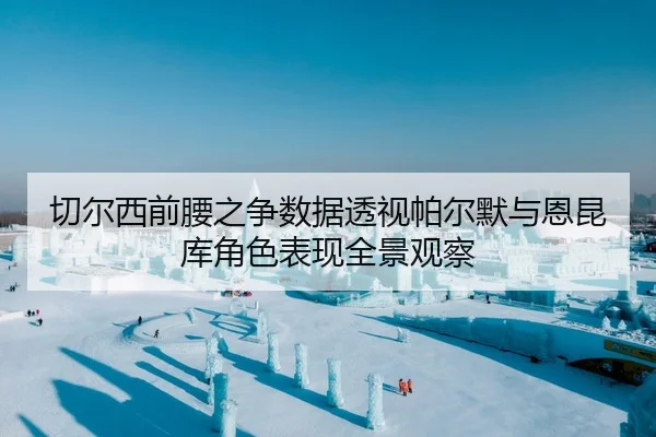 切尔西前腰之争数据透视帕尔默与恩昆库角色表现全景观察